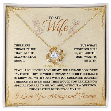 To My Wife, in You I found the Love of my Life