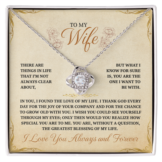 To My Wife, in You I found the Love of my Life