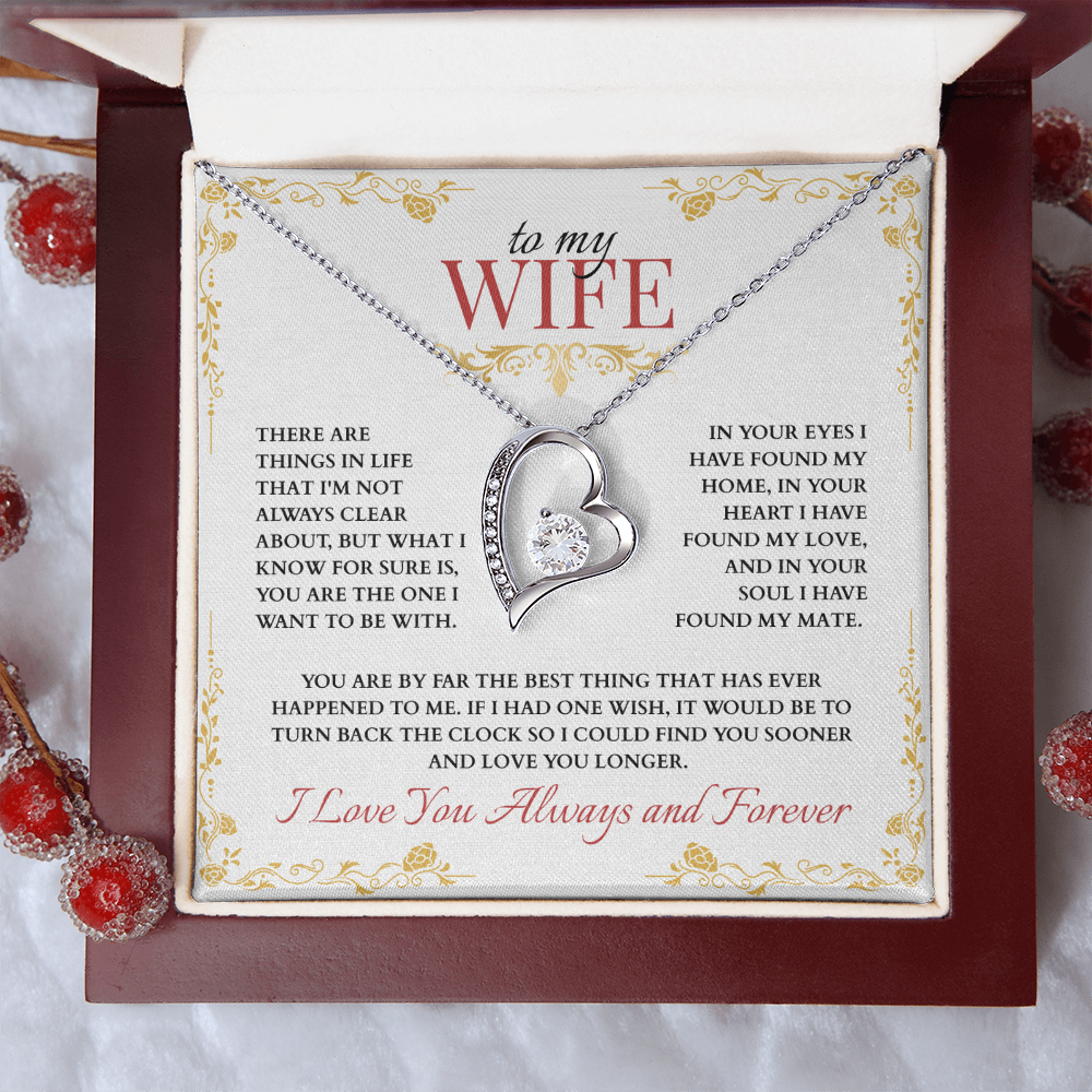 To My Wife, You are the One I Want to Be With