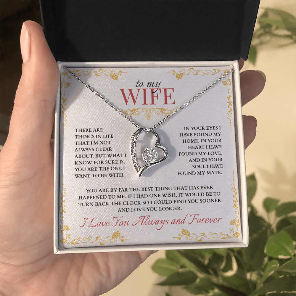 To My Wife, You are the One I Want to Be With