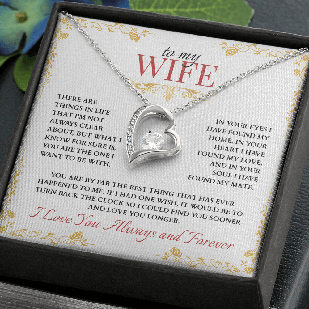 To My Wife, You are the One I Want to Be With