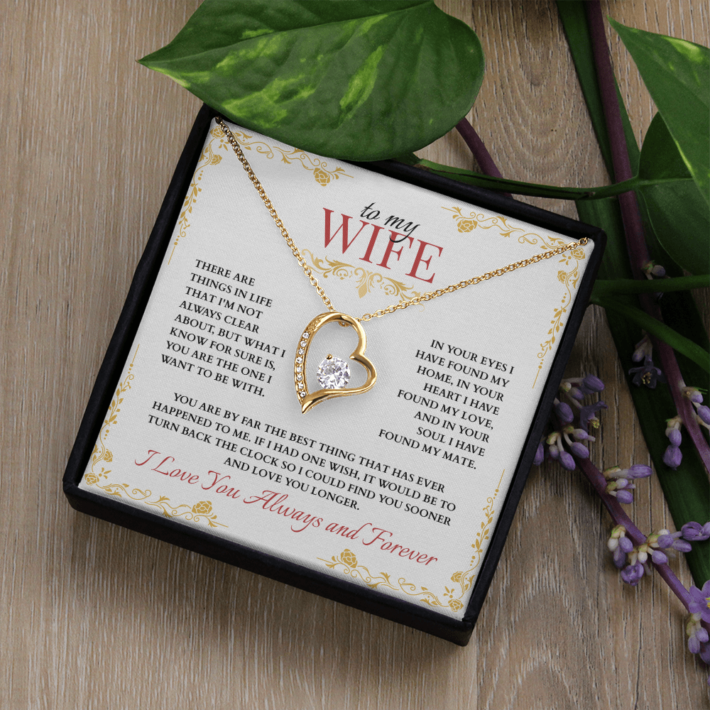To My Wife, You are the One I Want to Be With