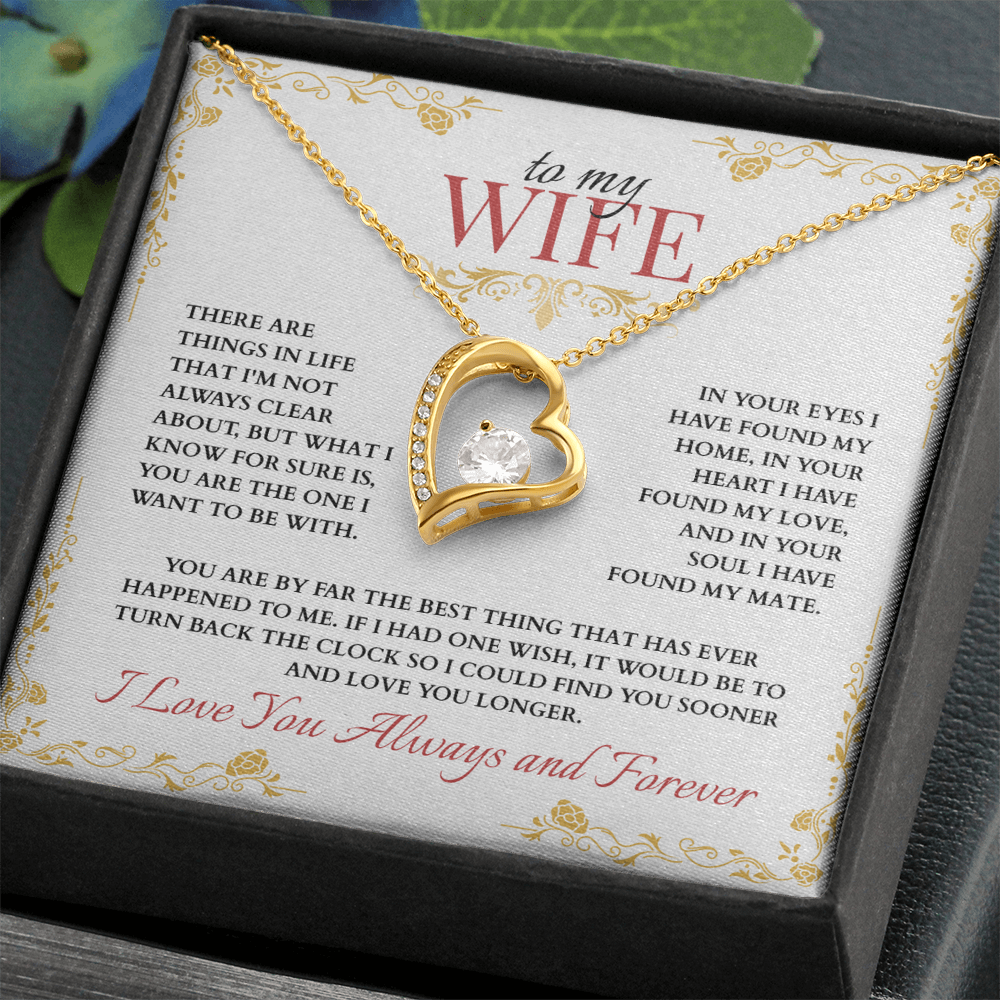 To My Wife, You are the One I Want to Be With